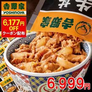 吉野家 冷凍牛丼の具28袋セット www.poltekkes-bsi.ac.id